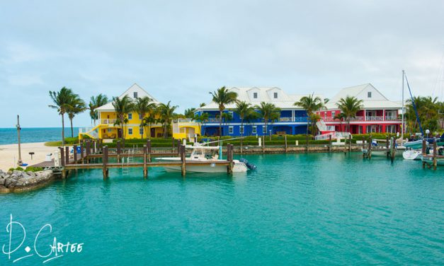 Bonfire Beach Bash & Tournament Announced at Old Bahama Bay in West End