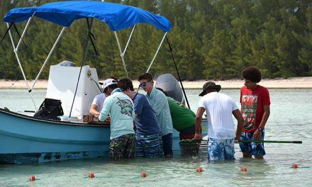 Bahamian Students Receive Hands On Lesson in Bonefish Conservation