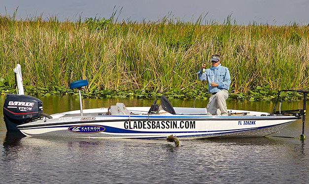 Everglades Bass on the Fly