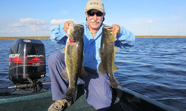 Fly Fishing in the Everglades