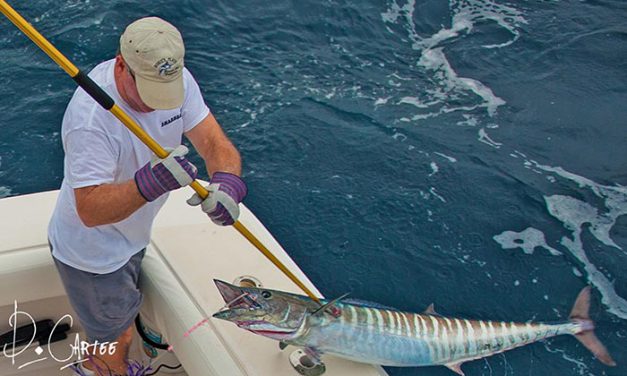 Guy Harvey Outpost’s Popular “Burning Wahoo” Bonfire Series Tournament Returns to Old Bahama Bay For February 2016