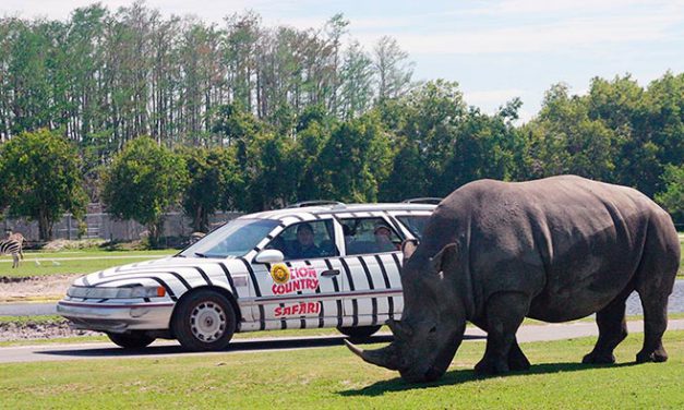Lion Country Safari, Florida opened in 1967, in rural Western Palm Beach County