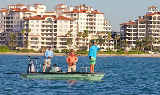 Miami Tarpon