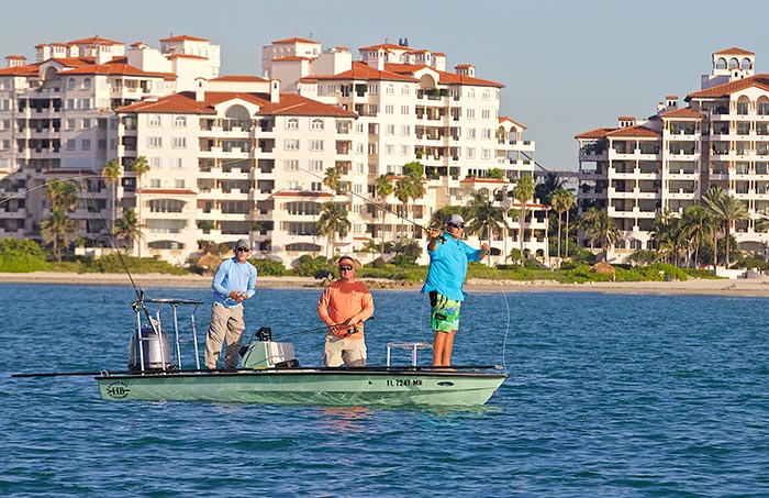 Miami Tarpon