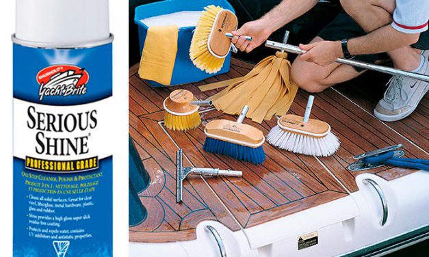 Multi-Tasking Products Clean Up And Cost Less