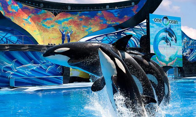 Disfrute SeaWorld Orlando