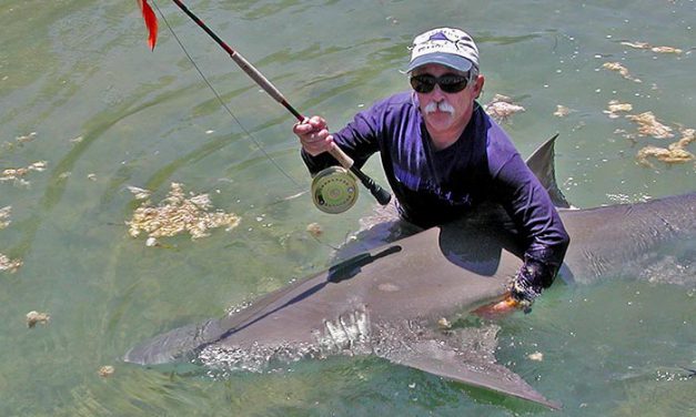 The Art of Fly Fishing