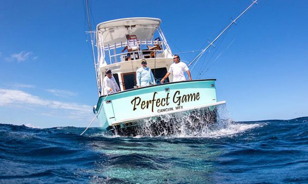 Perfect Game