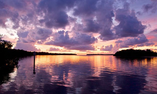 Everglades National Park