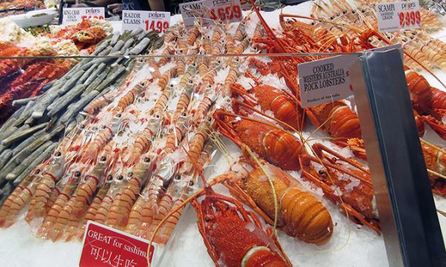 Markets of the World: The Fish Market in Sydney Australia