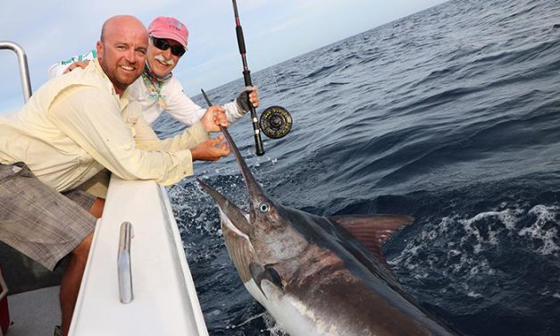 The Quest for the Capture of a Black Marlin on Fly Tackle