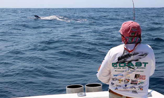 The Quest for the Billfish Royal Slam on Fly