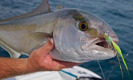 Key West’s Summer Snapper