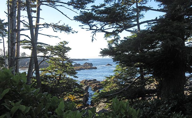 The Pacific Northwest Vancouver Island