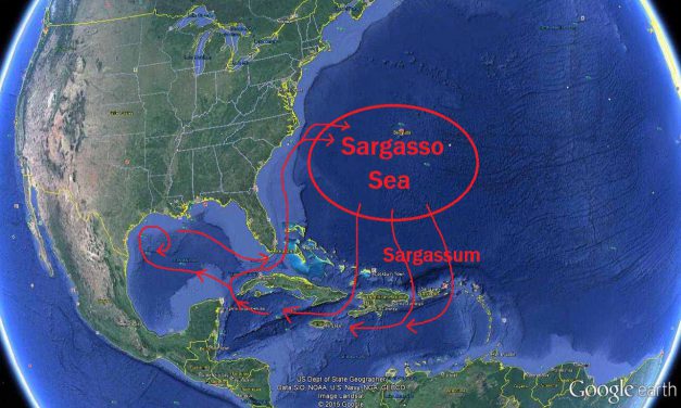 El Misterio del Sargazo