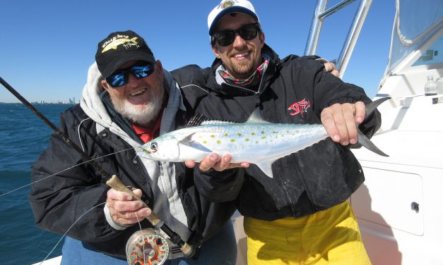 STRIP, POP, SLAM Spanish mackerel for the attention-deficit