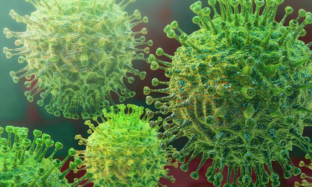 Facts about the Coronavirus (Covid-19)
