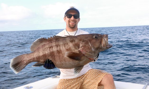 Bottom Fishing in Deep Water