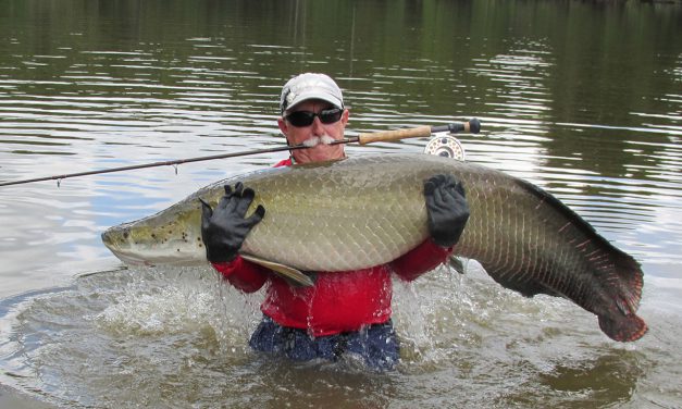 My Fishing Adventures  The Amazon