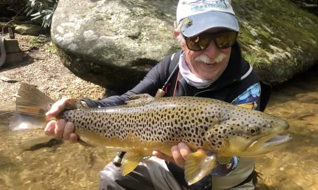 Fly Fishing for Trout in North Carolina