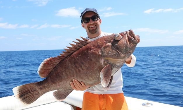 The Catch of a Lifetime (Part Two)