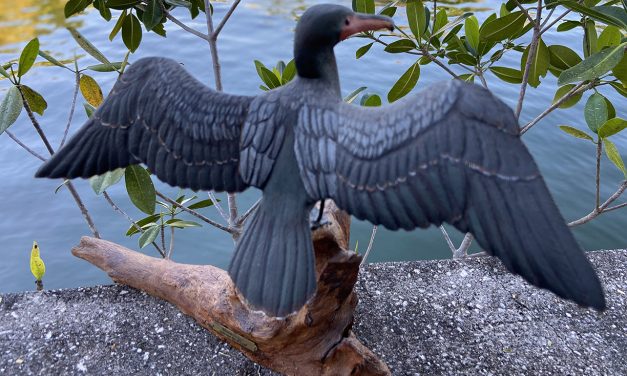 The Bird Lady’s Carvings