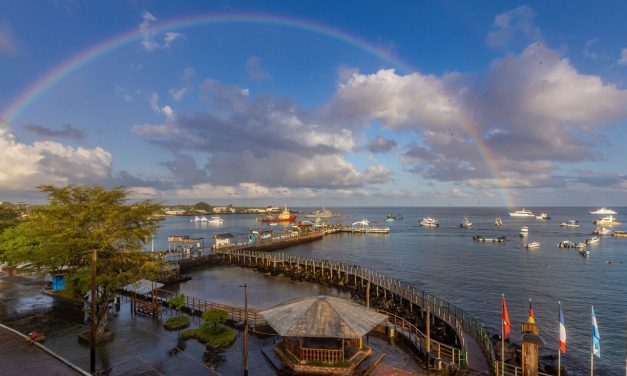 Amazing adventure in the Galapagos Islands