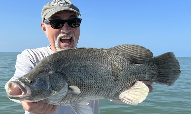 Get out and FISH!