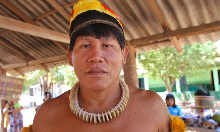 Native Tribes Fight for Survival in the Amazon