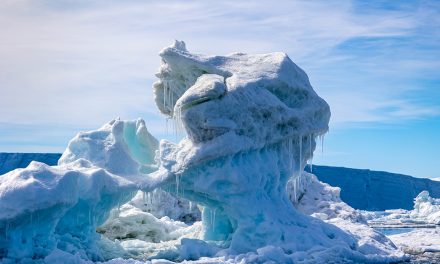 Antarctica: A Trip of a Lifetime