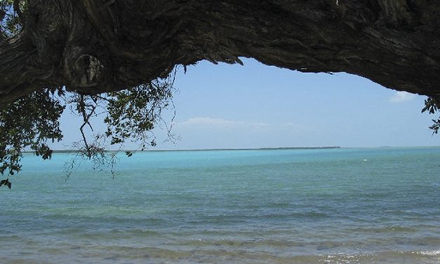 Islamorada, capital mundial de la pesca deportiva