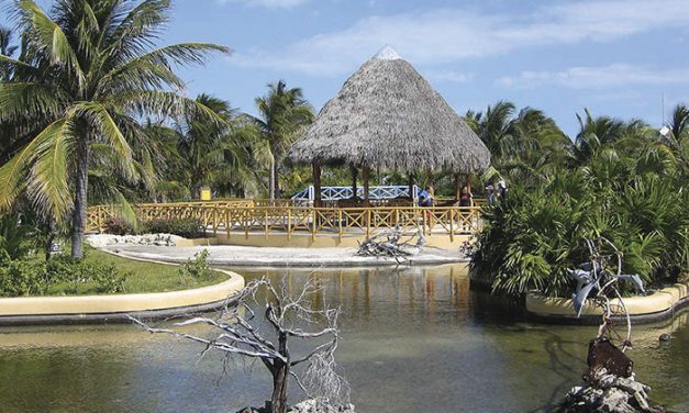 CAYO LARGO Capital Mundial del Buceo