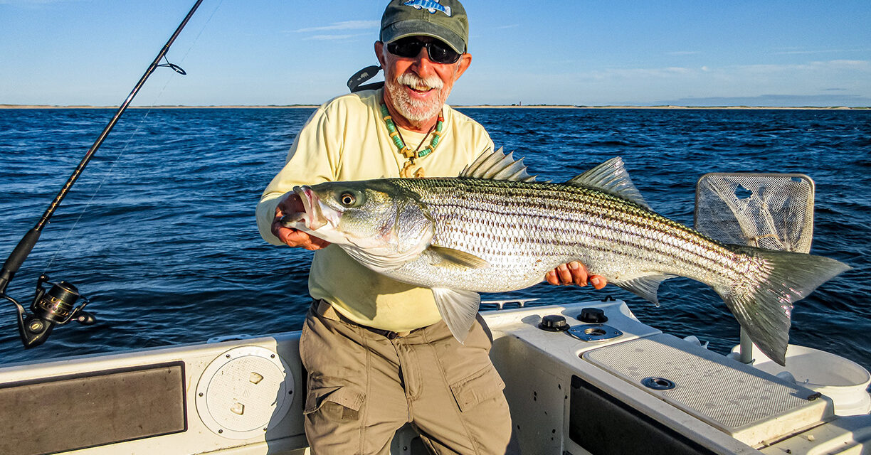 Striped Bass Fishing in Cape Cod