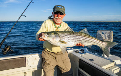 Striped Bass Fishing in Cape Cod