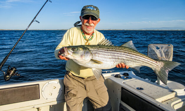 Striped Bass Fishing in Cape Cod