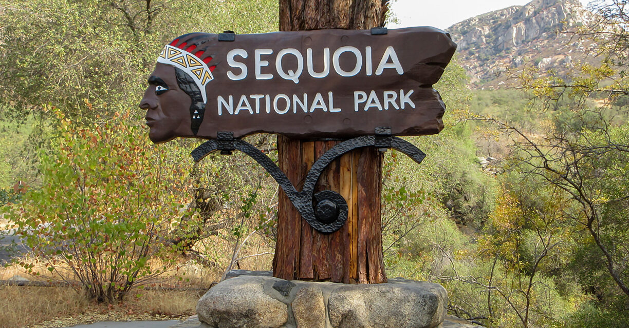 Sequoia and Kings Canyon National Parks: A Realm of Giants and Stone