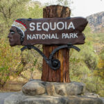 Sequoia and Kings Canyon National Parks: A Realm of Giants and Stone