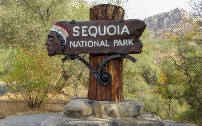 Sequoia and Kings Canyon National Parks: A Realm of Giants and Stone