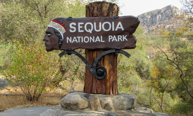 Sequoia and Kings Canyon National Parks: A Realm of Giants and Stone