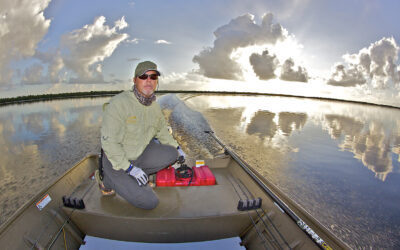 The Return of the Redfish