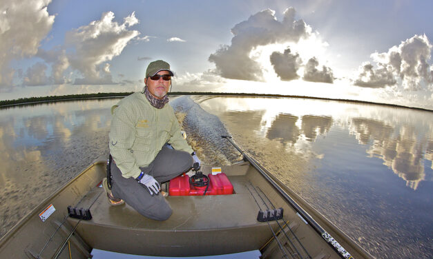 The Return of the Redfish