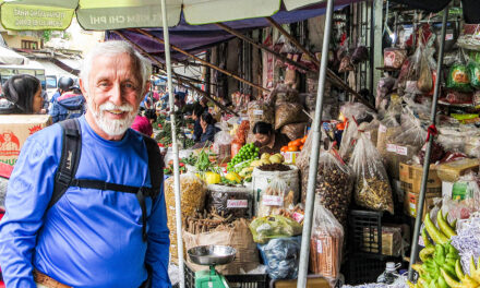 A Visit to the Hanoi Fish Market