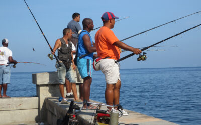 Entre el hambre y el mar: sobrevivir en el Malecón habanero