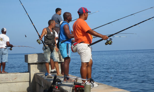 Entre el hambre y el mar: sobrevivir en el Malecón habanero