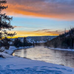 Yellowstone in Winter