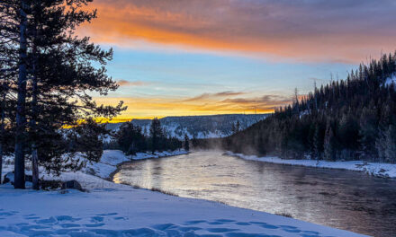 Yellowstone in Winter