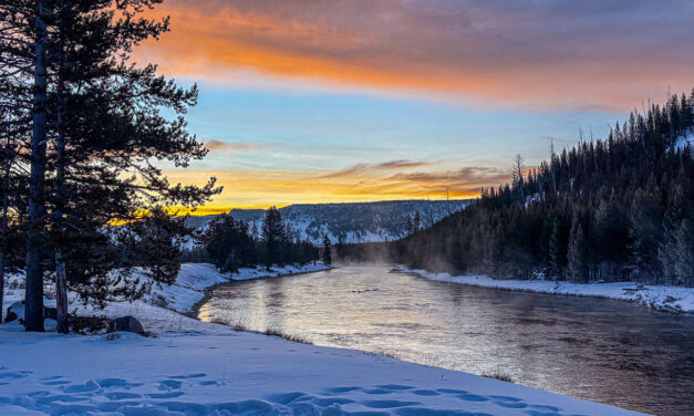 Yellowstone in Winter