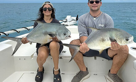 Hot Summer in Flamingo