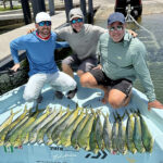 Summer Time Fishing in South Florida