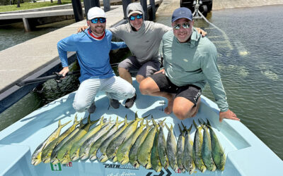 Summer Time Fishing in South Florida